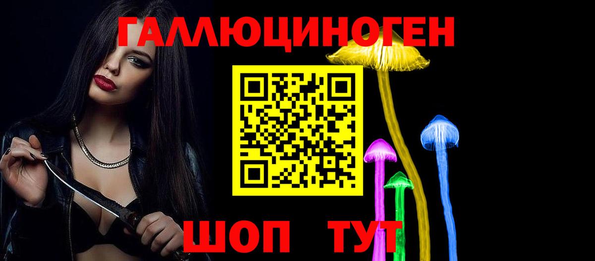 магазин продажи наркотиков  Вход с VPN  Волгодонск  Псилоцибиновые грибы GOLDEN TEACHER 